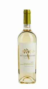 Vin alb sec - Metamorfosis - Feteasca Regala Eco, 2020