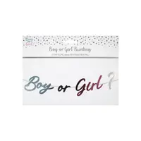 Banner din hârtie BOY or GIRL 1,5M