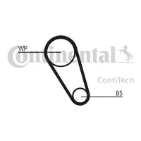 Set pompa apa+curea dintata CONTINENTAL CTAM CT1143WP1