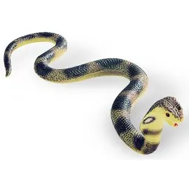 Cobra