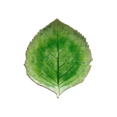 Farfurie din gresie ceramică Costa Nova Riviera, 19 x 22 cm, verde