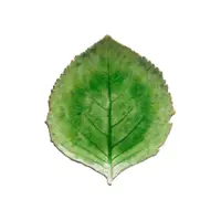 Farfurie din gresie ceramică Costa Nova Riviera, 19 x 22 cm, verde