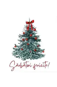 Felicitare cadou pentru sarbatorile de iarna: Happy Holidays