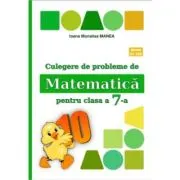 Culegere de probleme de matematica PUISORUL clasa a 7-a