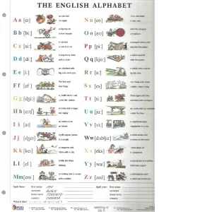The English Alphabet