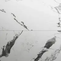 Gresie exterior / interior portelanata Panda Marble White 60 x 120 cm lucioasa rectificata tip marmura