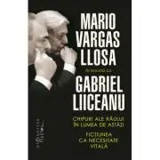 Chipuri ale raului in lumea de astazi. Fictiunea ca necesitate vitala
