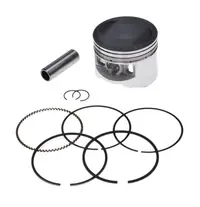 Kit piston si segmenti YX140, L-43mm