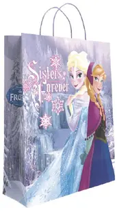 Pungă cadou S. Cool - Frozen, Anna and Elsa, XL