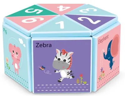 Puzzle magnetic pentru copii Raya Toys - 16 elemente