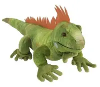 Jucarie de plus - Iguana