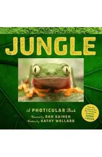Jungle