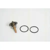 Termostat, lichid racire TRISCAN 8620 23590