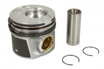 Piston 79,51 (std, 1-2 Cylinder) Potrivit Audi A3, A4 B6; Ford Galaxy I, Galaxy Mk I; Seat Alhambra, Altea, Altea Xl, Cordoba, Ibiza Iii, Ibiza Iv, Ibiza Iv Sc, Leon, Toledo Iii 1.9d 03.95