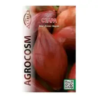Seminte Ceapa Rosa Lunga di Firenze, Agrocosm