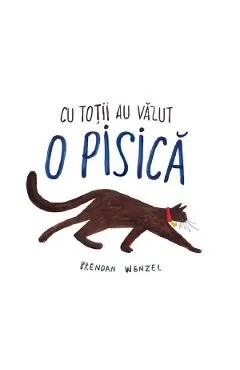 Cu totii au vazut o pisica