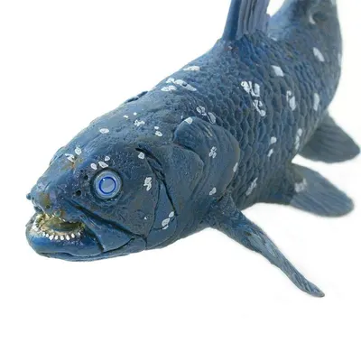 Figurina - Coelacanth