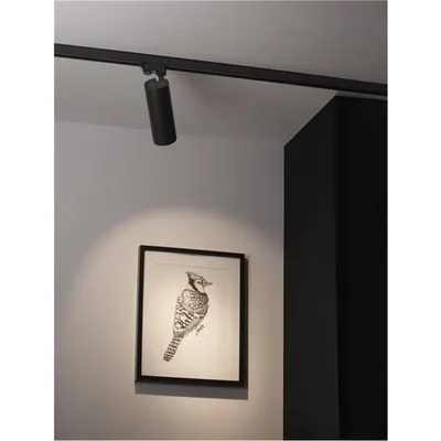 Sistem iluminat pe sina 4-WIRES TRACK Nisipiu Negru Aluminiu 30W 220-240V 750mA 2255Lm Cree CRI>90 UGR<16 Beam Angle 24° 3000K IP20 Adjustable & Rotating Eaglerise Driver included