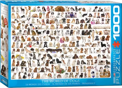 Puzzle Eurographics din 1000 de piese - Lumea cateilor