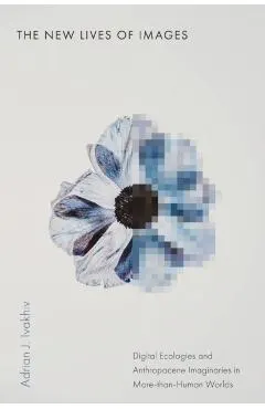 The New Lives of Images: Digital Ecologies and Anthropocene Imaginaries in More-Than-Human Worlds