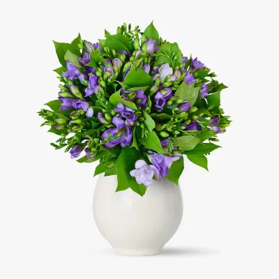 Buchet de 55 frezii mov