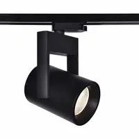 Spot pe Sina Ftl35 Cob 35w 3000k 38° Negru