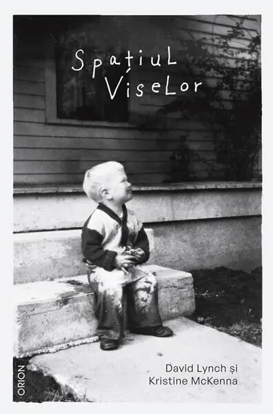 Spațiul viselor - Paperback brosat - David Lynch, Kristine McKenna