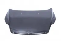 Capota motor (galvanizat) potrivit FORD FOCUS II, FOCUS II KOMBI 11.07-10.11