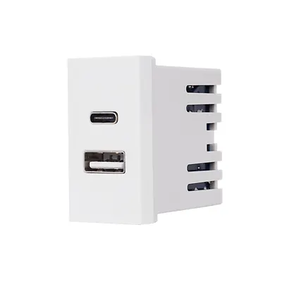 Modul Priza USB A+C 1M LUXION, Standard Italian