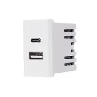 Modul Priza USB A+C 1M LUXION, Standard Italian