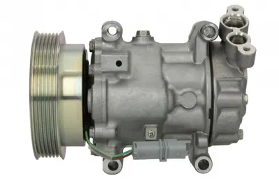 Compresor Clima Auto Aer Conditionat Potrivit Mercedes Citan Mixto (double Cabin), Citan (mpv), Citan Minivan (w415); Nissan Cube, Juke, Micra Iii, Note, Nv200, Nv200 Evalia, Qashqai I, Tiida 1.2-2.