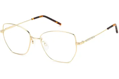 Pierre Cardin P.C.8876 J5G