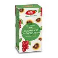 Detoxifiant cu ganoderma, 63 capsule, Fares