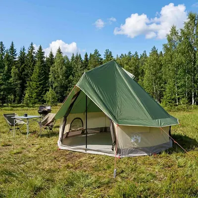 vidaXL Cort Tipi 4 persoană Verde Poliester și oțel