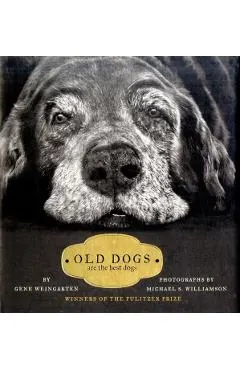 Old Dogs: Are the Best Dogs