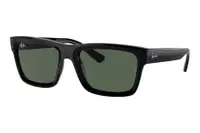 Ray-Ban Warren RB4396 667771