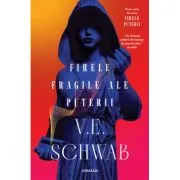 Firele fragile ale puterii (Seria FIRELE PUTERII, partea 1)