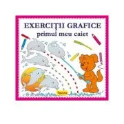 Exercitii grafice. Primul meu caiet