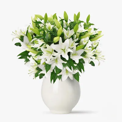 Buchet de 19 crini imperiali albi