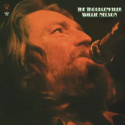 The Troublemaker - Vinyl