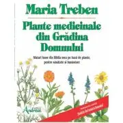 Plante medicinale din gradina Domnului. Sfaturi bune din Biblia mea de leacuri