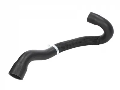 Furtun aer intercooler (partea evacuare fata) CITROEN C4, C4 I; PEUGEOT 307 1.6 intre 2003-2011