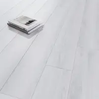 Parchet laminat Avangard Odeon Oak 10 mm clasa 32 AC4