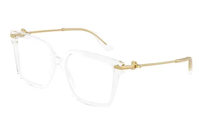 Dolce & Gabbana DG3397 3133