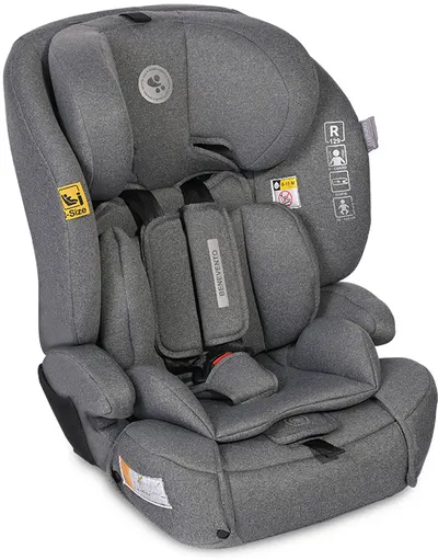 Scaun auto Lorelli - Benevento, i-Size, Isofix, 76-150 cm, Grey