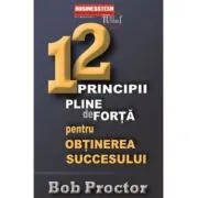 12 principii pline de forta pentru obtinerea succesului
