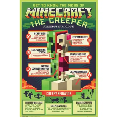 Poster - Minecraft