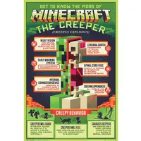 Poster - Minecraft