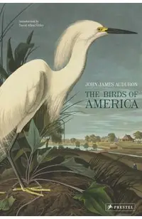 Birds of America