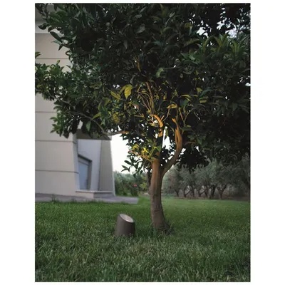 Spot FOX Inchis Gray Sandstone Sticla Difusser LED GU10 1x7 Wat IP65 100-240 Volt Fara bec